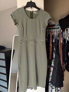 DE Collection Olive & White Striped Fit-and-Flare Midi Dress